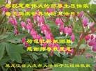 ���ֹ�,����󷨵��ӹ������編�ִ�����ʦ�𻪵�(20��)
