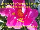 ���ֹ�,����󷨵��ӹ������編�ִ�����ʦ�𻪵�(20��)
