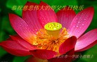 ���ֹ�,ʯ��ׯ�󷨵��ӹ������編�ִ�����ʦ�𻪵�(24��)
