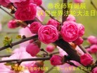 ���ֹ�,�����д󷨵��ӹ������編�ִ�����ʦ�𻪵�(23��)
