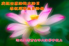 ���ֹ�,�ȷ��󷨵��ӹ������編�ִ�����ʦ�𻪵�(26��)

