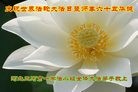 ���ֹ�,�ȷ��󷨵��ӹ������編�ִ�����ʦ�𻪵�(26��)

