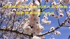 ���ֹ�,�������󷨵��ӹ������編�ִ�����ʦ�𻪵�(21��)
