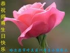 ���ֹ�,�������󷨵��ӹ������編�ִ�����ʦ�𻪵�(21��)
