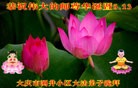 ���ֹ�,����󷨵��ӹ������編�ִ�����ʦ�𻪵�(20��)
