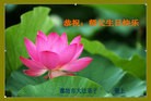 ���ֹ�,�ȷ��󷨵��ӹ������編�ִ�����ʦ�𻪵�(29��)
