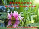 ���ֹ�,�ػʵ��󷨵��ӹ������編�ִ�����ʦ�𻪵�(26��)
