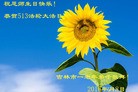 ���ֹ�,�����д󷨵��ӹ������編�ִ�����ʦ�𻪵�(23��)
