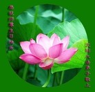 ���ֹ�,�����󷨵��ӹ������編�ִ�����ʦ�𻪵�(28��)
