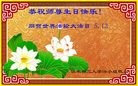 ���ֹ�,��ľ˹�󷨵��ӹ������編�ִ�����ʦ�𻪵�(20��)
