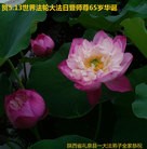 ���ֹ�,�����󷨵��ӹ������編�ִ�����ʦ�𻪵�(26��)
