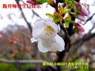 ���ֹ�,�������󷨵��ӹ������編�ִ�����ʦ�𻪵�(20��)
