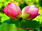 ���ֹ�,�����д󷨵��ӹ������編�ִ�����ʦ�𻪵�(20��)
