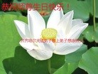 ���ֹ�,��������󷨵��ӹ������編�ִ�����ʦ�𻪵�(25��)
