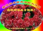 ���ֹ�,�������󷨵��ӹ������編�ִ�����ʦ�𻪵�(20��)
