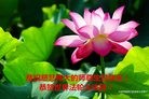 ���ֹ�,����󷨵��ӹ������編�ִ�����ʦ�𻪵�(26��)
