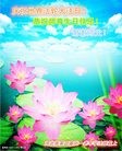 ���ֹ�,�żҿڴ󷨵��ӹ������編�ִ�����ʦ�𻪵�(27��)
