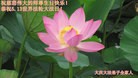 ���ֹ�,����󷨵��ӹ������編�ִ�����ʦ�𻪵�(21��)
