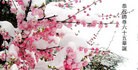 ���ֹ�,����󷨵��ӹ������編�ִ�����ʦ�𻪵�(21��)
