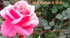 ���ֹ�,����󷨵��ӹ������編�ִ�����ʦ�𻪵�(26��)
