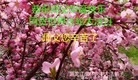 ���ֹ�,�����󷨵��ӹ������編�ִ�����ʦ�𻪵�(24��)
