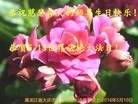 ���ֹ�,����󷨵��ӹ������編�ִ�����ʦ�𻪵�(26��)
