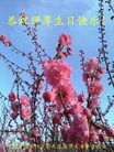 ���ֹ�,�żҿڴ󷨵��ӹ������編�ִ�����ʦ�𻪵�(27��)
