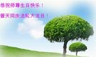 ���ֹ�,��ɽ�󷨵��ӹ������編�ִ�����ʦ�𻪵�(31��)
