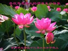 ���ֹ�,�����д󷨵��ӹ������編�ִ�����ʦ�𻪵�(28��)
