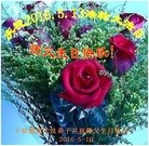 ���ֹ�,���ݴ󷨵��ӹ������編�ִ�����ʦ�𻪵�(26��)
