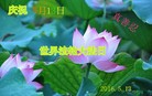 ���ֹ�,�����д󷨵��ӹ������編�ִ�����ʦ�𻪵�(28��)
