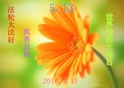 ���ֹ�,�����д󷨵��ӹ������編�ִ�����ʦ�𻪵�(28��)

