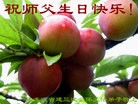���ֹ�,�������󷨵��ӹ������編�ִ�����ʦ�𻪵�(22��)
