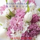 ���ֹ�,�����󷨵��ӹ������編�ִ�����ʦ�𻪵�(22��)
