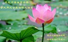 ���ֹ�,�������󷨵��ӹ������編�ִ�����ʦ�𻪵�(21��)

