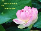 ���ֹ�,�����󷨵��ӹ������編�ִ�����ʦ�𻪵�(19��)
