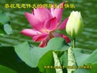 ���ֹ�,�ӱ��󷨵��ӹ������編�ִ�����ʦ�𻪵�(20��)

