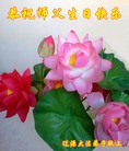 ���ֹ�,����ʡ�󷨵��ӹ������編�ִ�����ʦ�𻪵�(20��)
