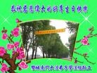 ���ֹ�,�������󷨵��ӹ������編�ִ�����ʦ�𻪵�(21��)
