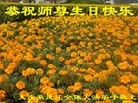 ���ֹ�,����󷨵��ӹ������編�ִ�����ʦ�𻪵�(18��)
