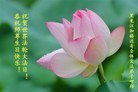 ���ֹ�,�������󷨵��ӹ������編�ִ�����ʦ�𻪵�(22��)
