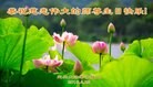 ���ֹ�,�����󷨵��ӹ������編�ִ�����ʦ�𻪵�(24��)
