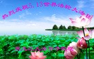���ֹ�,�������󷨵��ӹ������編�ִ�����ʦ�𻪵�(21��)
