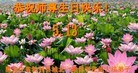 ���ֹ�,�������󷨵��ӹ������編�ִ�����ʦ�𻪵�(21��)
