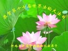 ���ֹ�,ʯ��ׯ�󷨵��ӹ������編�ִ�����ʦ�𻪵�(26��)
