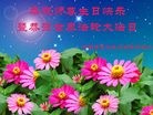 ���ֹ�,�ӱ��󷨵��ӹ������編�ִ�����ʦ�𻪵�(24��)
