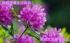 ���ֹ�,�ӱ��󷨵��ӹ������編�ִ�����ʦ�𻪵�(24��)
