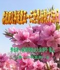 ���ֹ�,�ӱ��󷨵��ӹ������編�ִ�����ʦ�𻪵�(25��)
