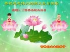 ���ֹ�,����ʡ�󷨵��ӹ������編�ִ�����ʦ�𻪵�(19��)
