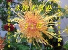 ���ֹ�,�������󷨵��ӹ������編�ִ�����ʦ�𻪵�(21��)
